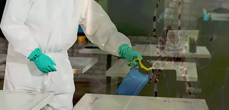 Why Buyers Still Want Homes With Pest Infestations in Garland, TX?