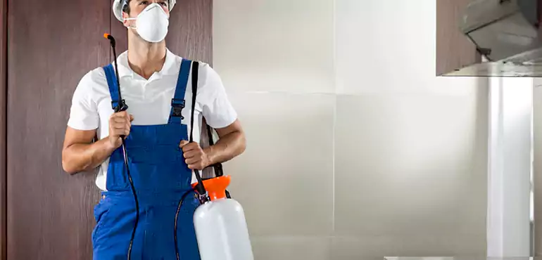 Why Garland Homeowners Choose Us When Pests Make Selling Difficult