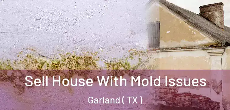  Sell House With Mold Issues Garland ( TX )